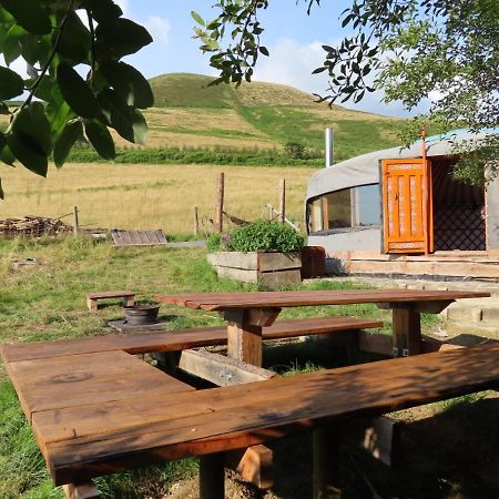 Hotel Fire Yurt Machynlleth Zewnętrze zdjęcie