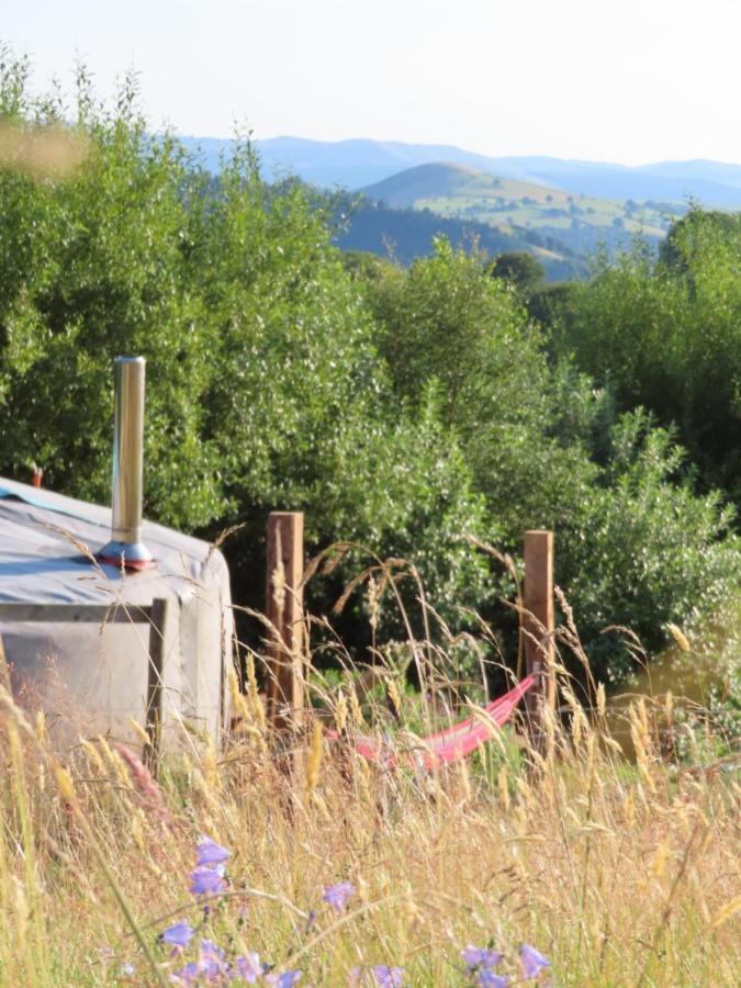 Hotel Fire Yurt Machynlleth Zewnętrze zdjęcie